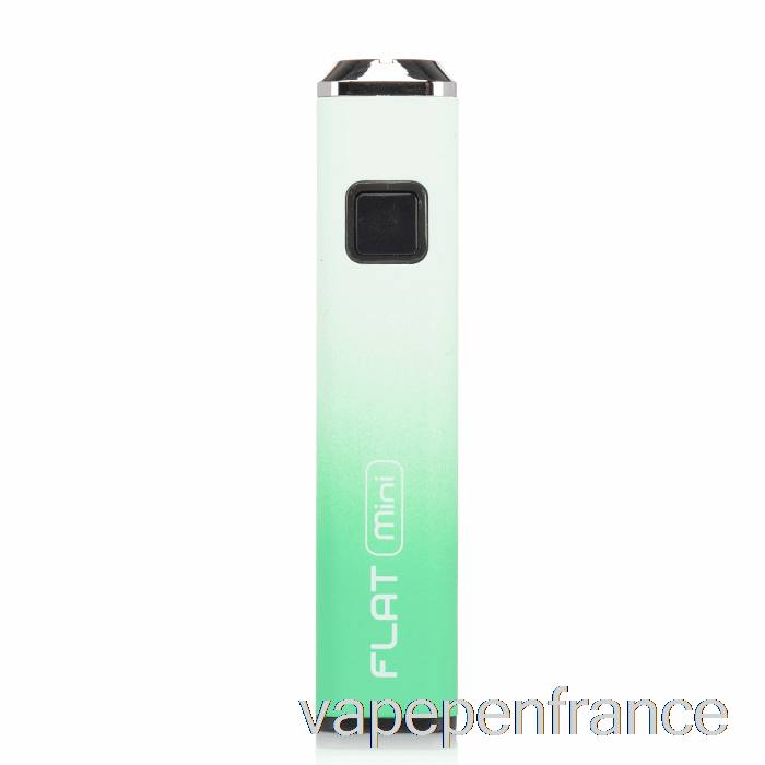 Yocan Plat Mini Batterie 400mah Stylo Vape Vert Blanc